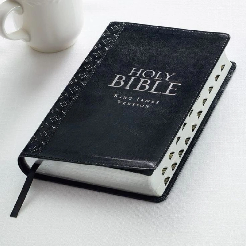 Holy Bible - Study Edition