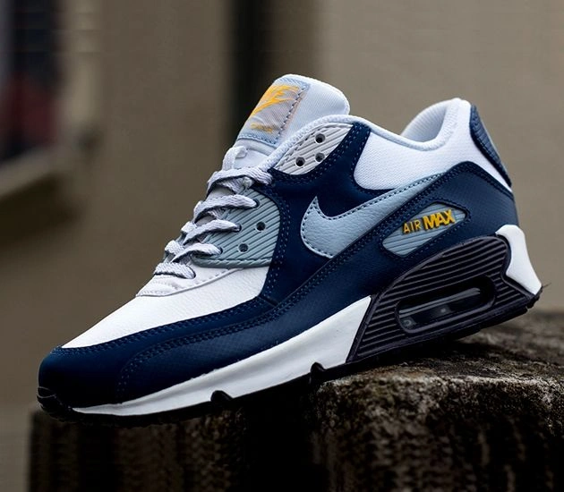 Nike Air Max Sneakers