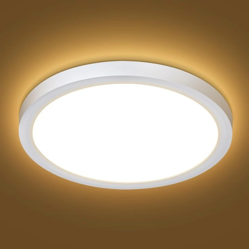 LED Ceiling Light